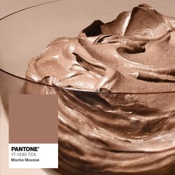 Pantone Colour of the Year 2025: Mocha Mousse